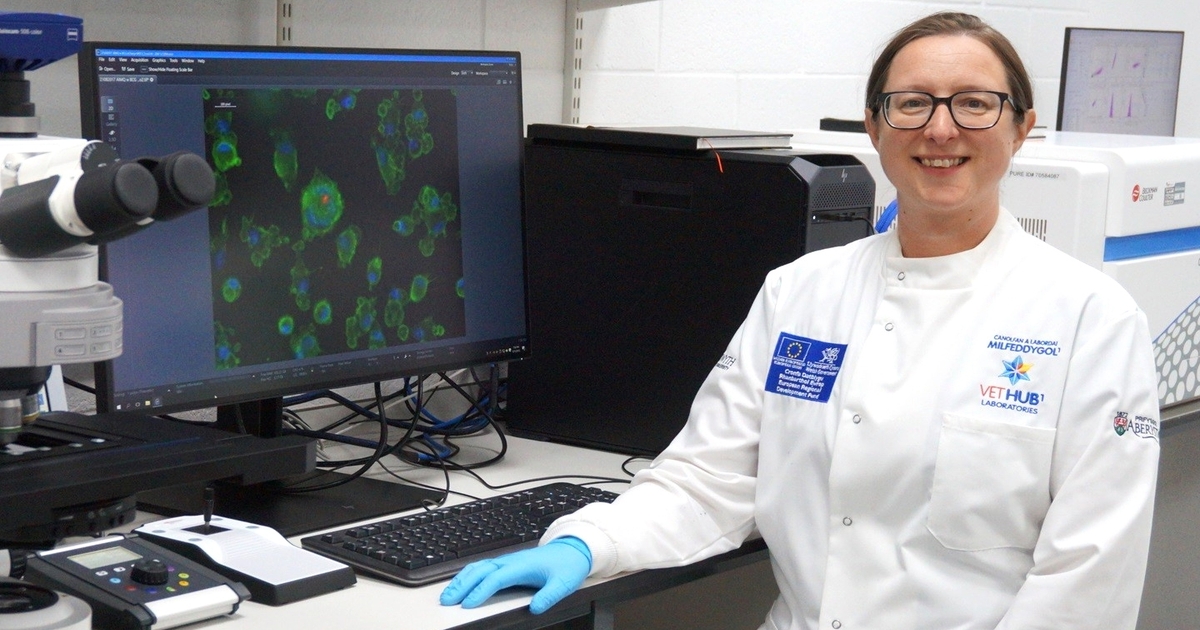 Study will test cattle vaccine immunity boost