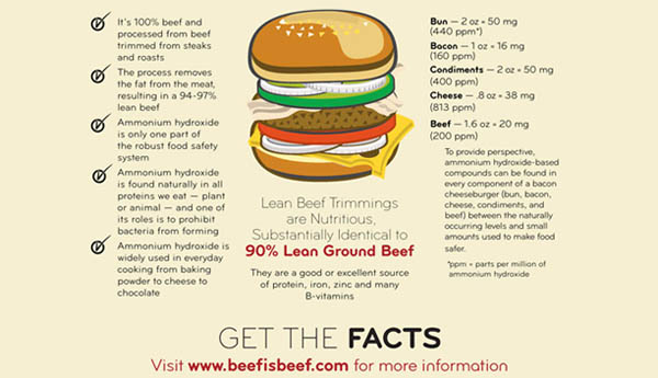 What Is Lean Finely Textured Beef?