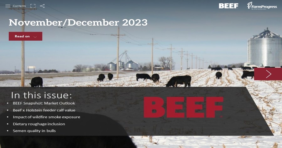 November/December edition of BEEF now available