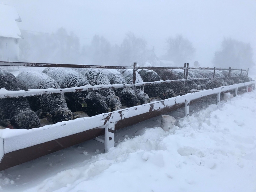 How did your ranch weather the Xanto blizzard?