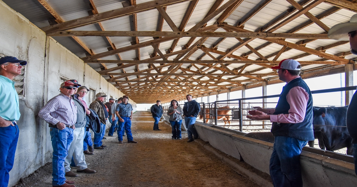 Great Plains Heifer Development Program recaps first year