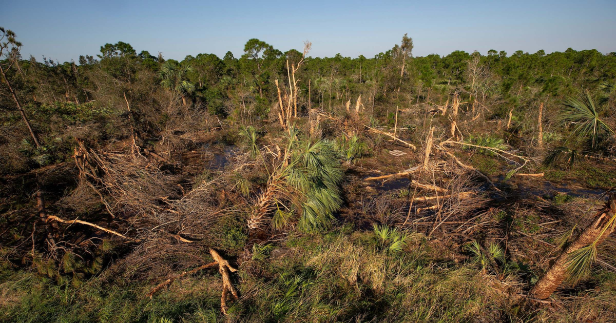 Florida agricultural production losses top $190M