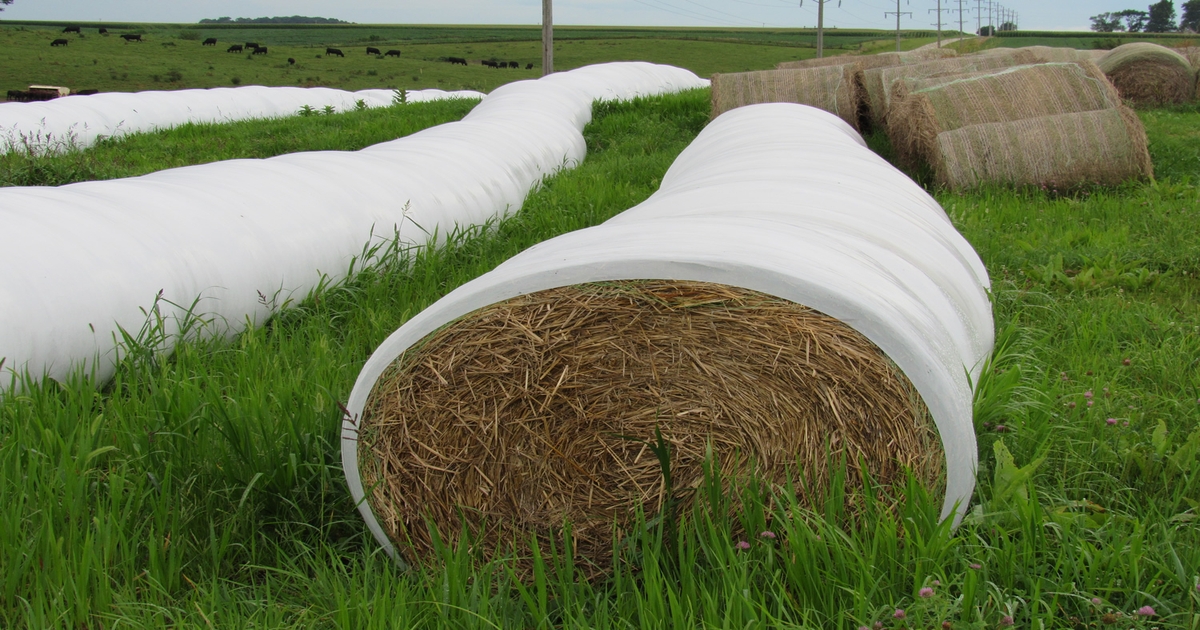 Baleage: Advantageous for first cutting hay