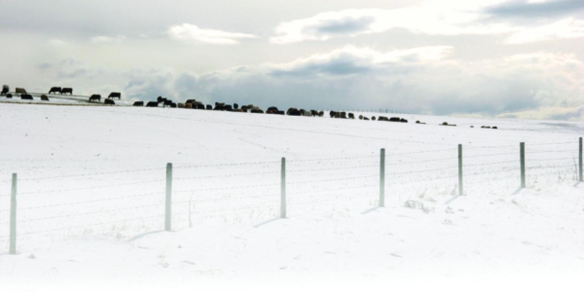 winter.jpg winter.jpg