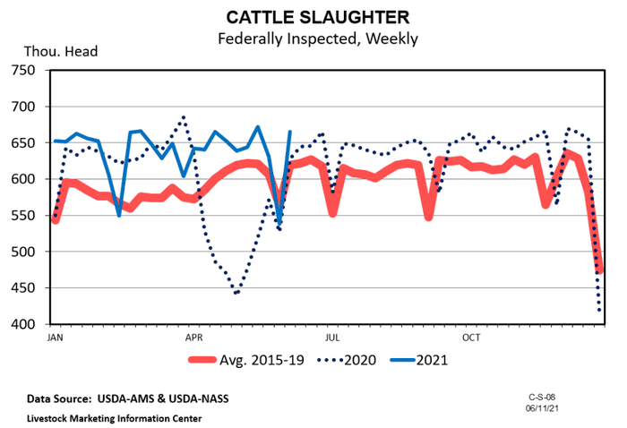 6-16-21 cattle slaughter Burdine061321.png