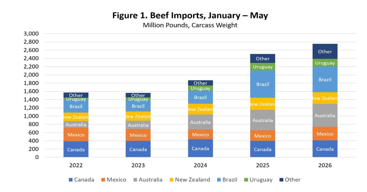 Beef import dynamics