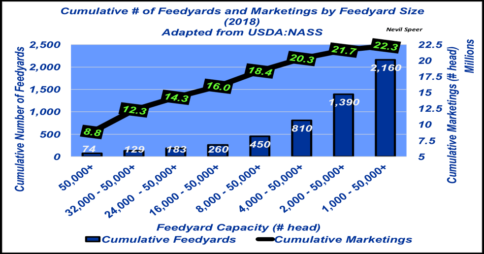 Here's why modern feedyards are vital to producing beef