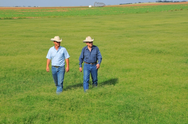 Chaparral™ Herbicide Allows Ranchers To Successfully Spray Weeds In Cotton Country