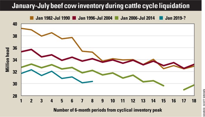 January-July beef cow inventory during cattle cycle liquidation chart