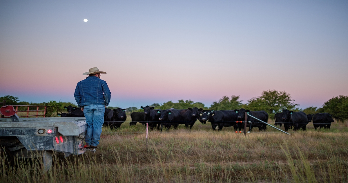 Noble Research Institute, CAB partner on land management course.