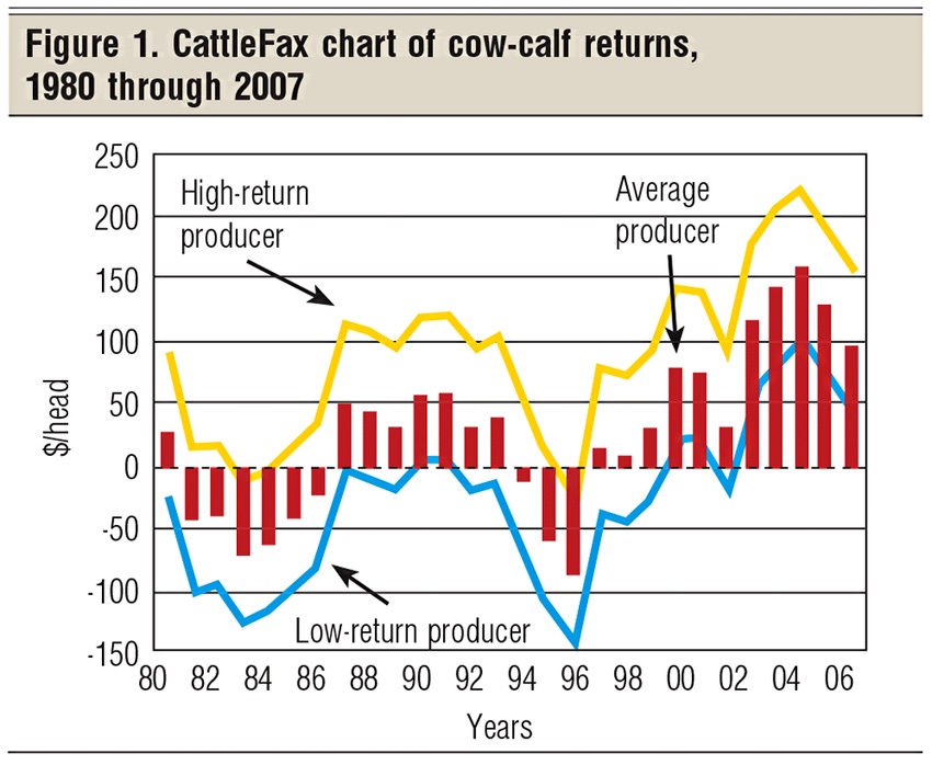 Is the cattle cycle back?