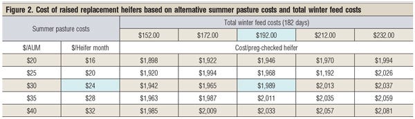cost of replacement heifers