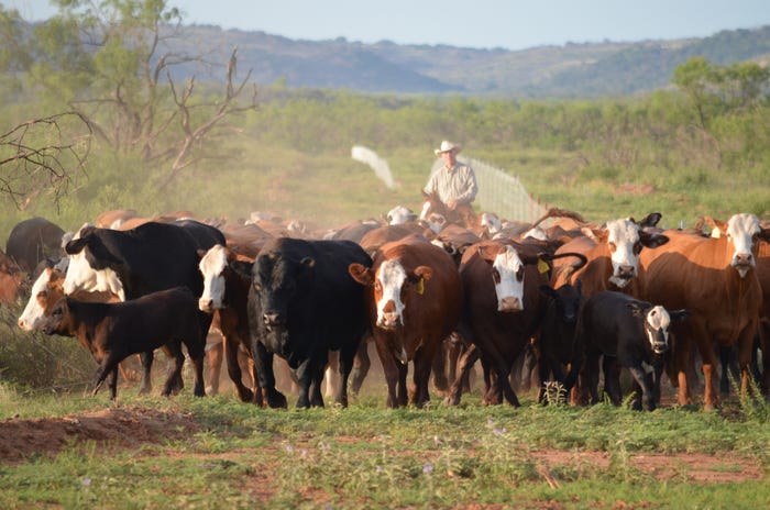 7 U.S. Ranching Operations Lauded For Top-Level Stewardship