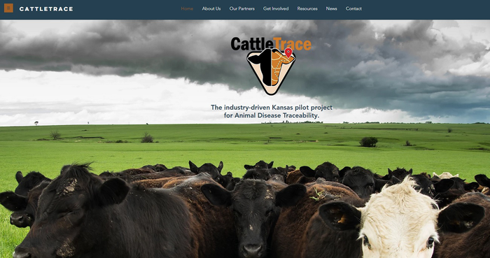 July-2018-7-2-cattle-trace-project-p_20copy.png