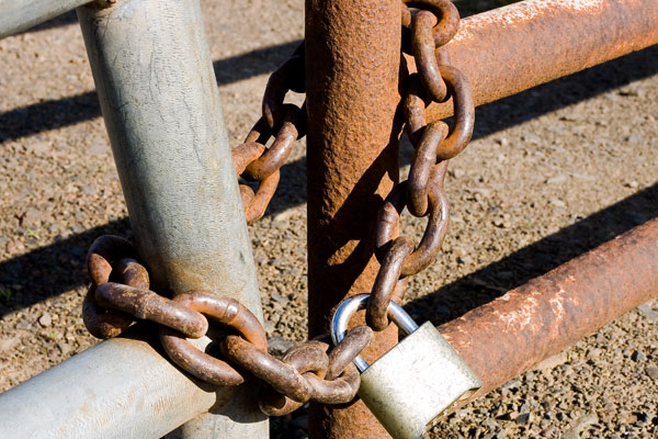 How Long Before A Feedlot/Packer Washout?