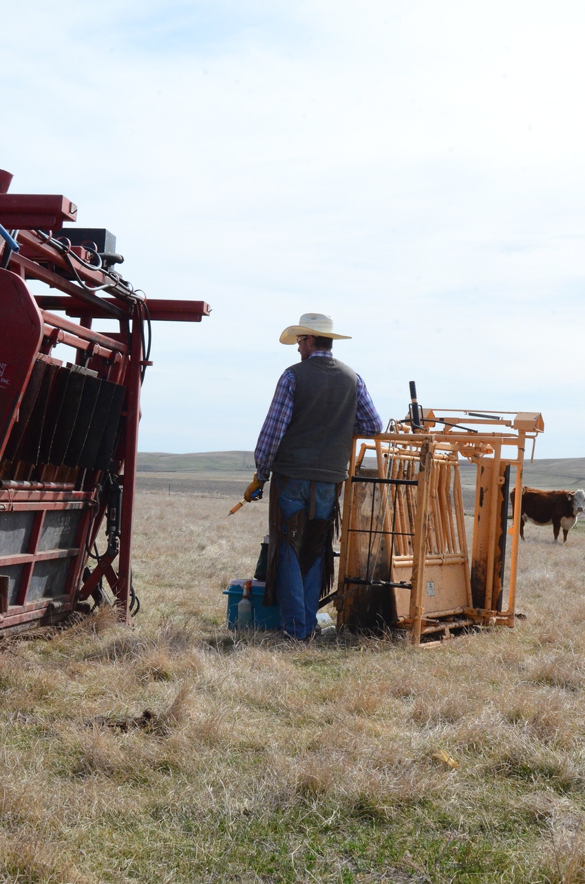 Hey rancher; What’s your real job?