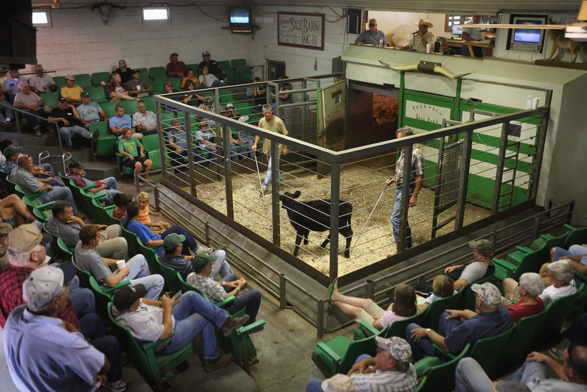 Is the U.S. cattle business at risk for FMD?