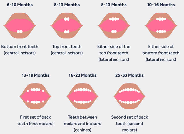 The teething process