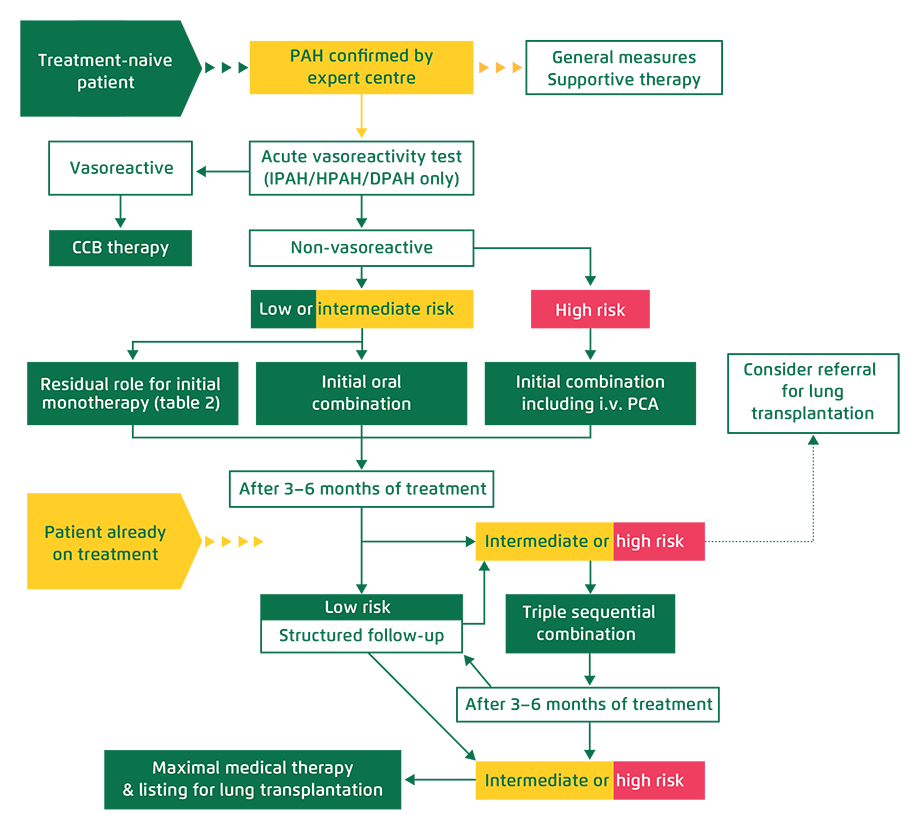 Treatment Algorithm