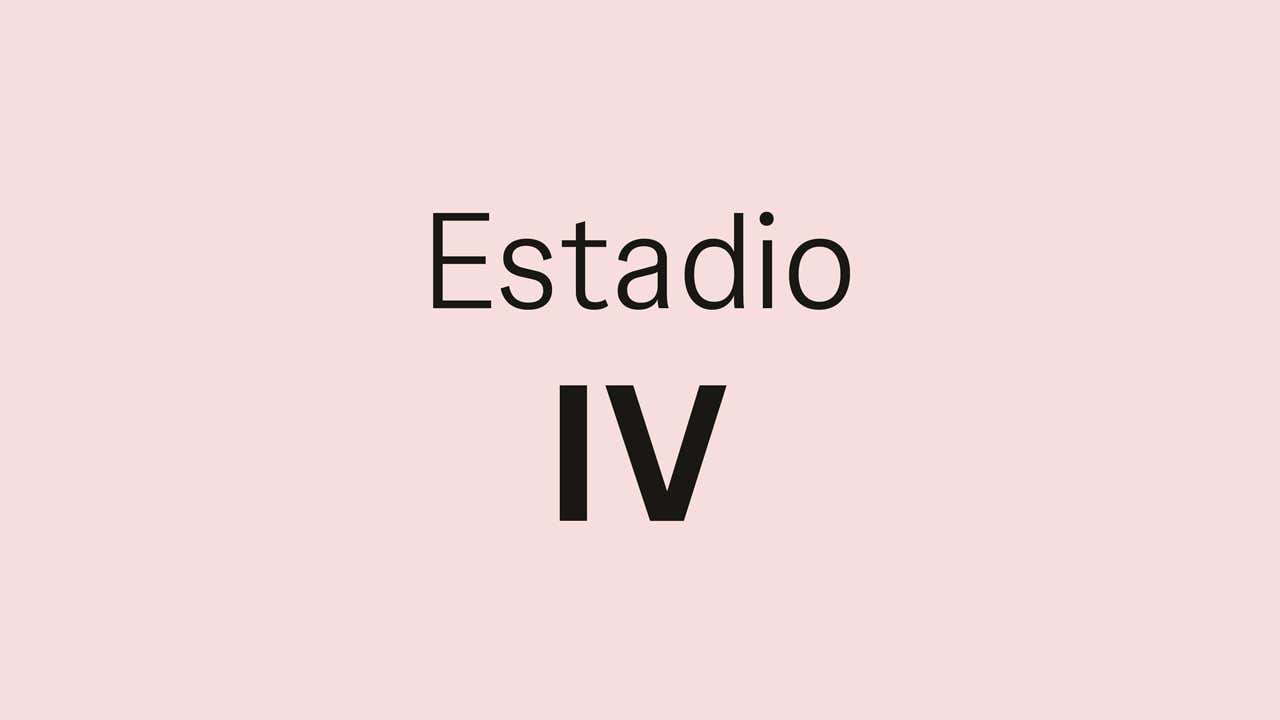 Cáncer de próstata estadio IV