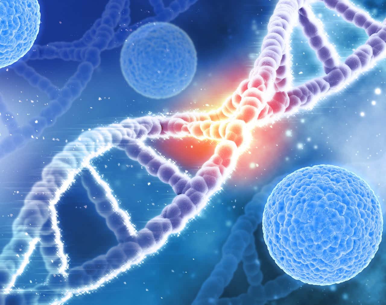 El oncogén ciclina D1 permite el desarrollo del linfoma de células del manto