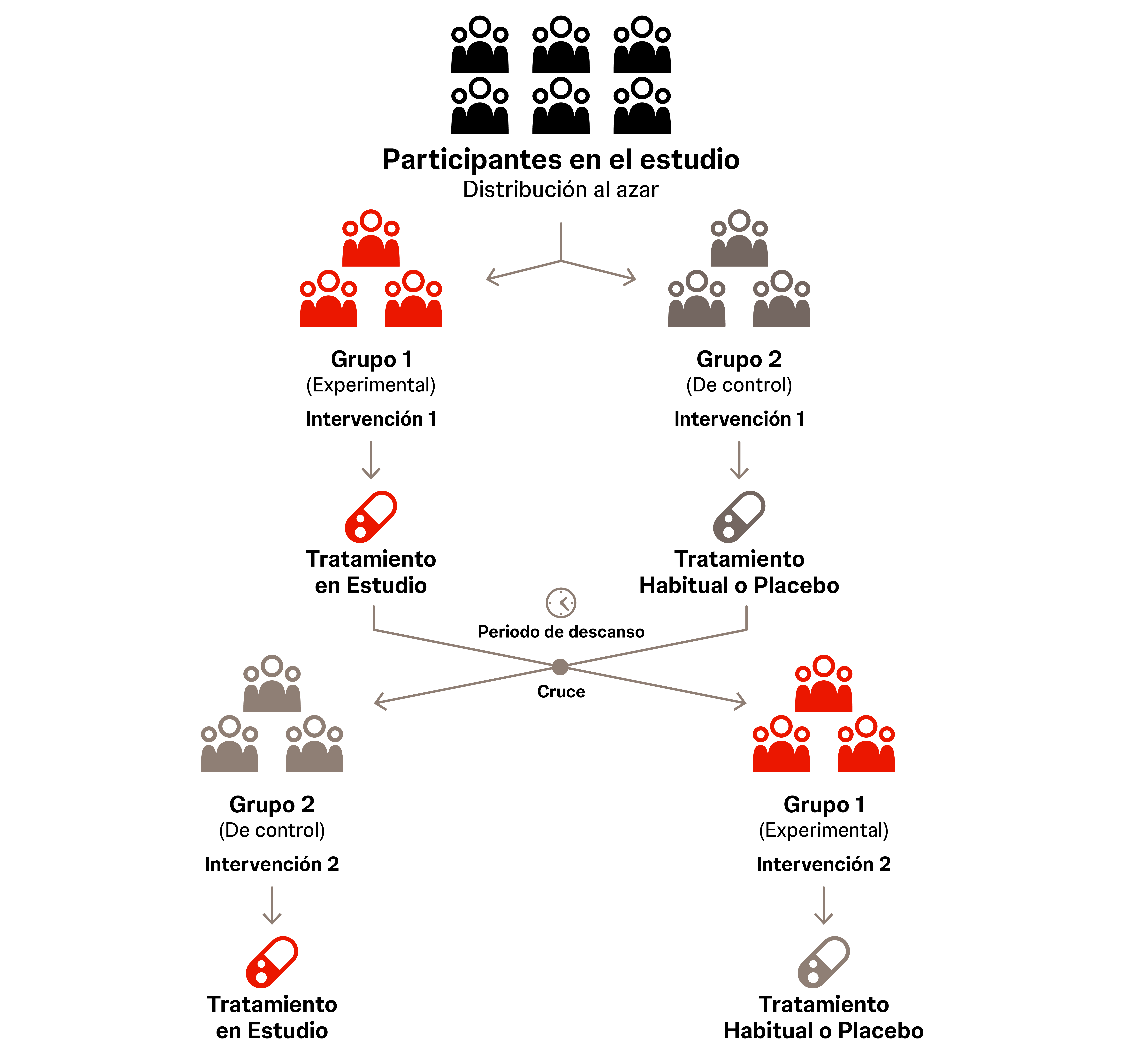Todos los participantes reciben los mismos tratamientos, pero el orden de administración depende del grupo al que hayan sido asignados.