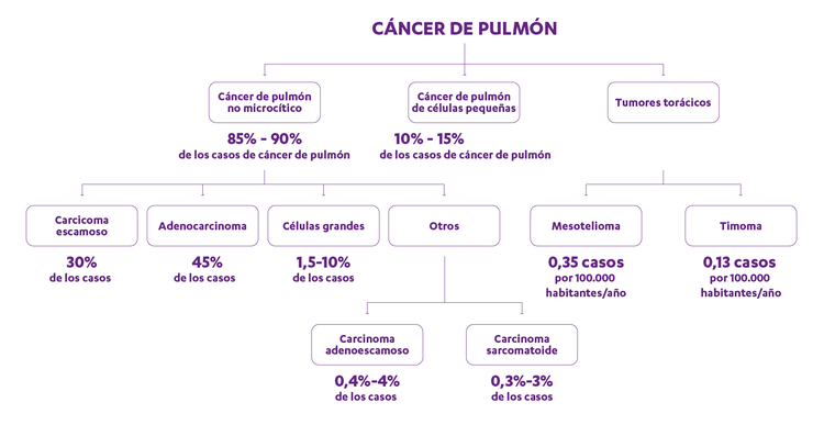 Mapa conceptual de qué es el cáncer de pulmón.