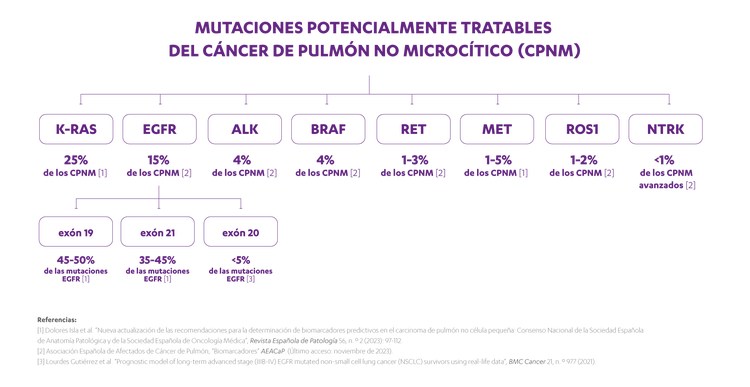Diagrama de las mutaciones potencialmente tratables del cáncer de pulmón no microcítico (CPNM)