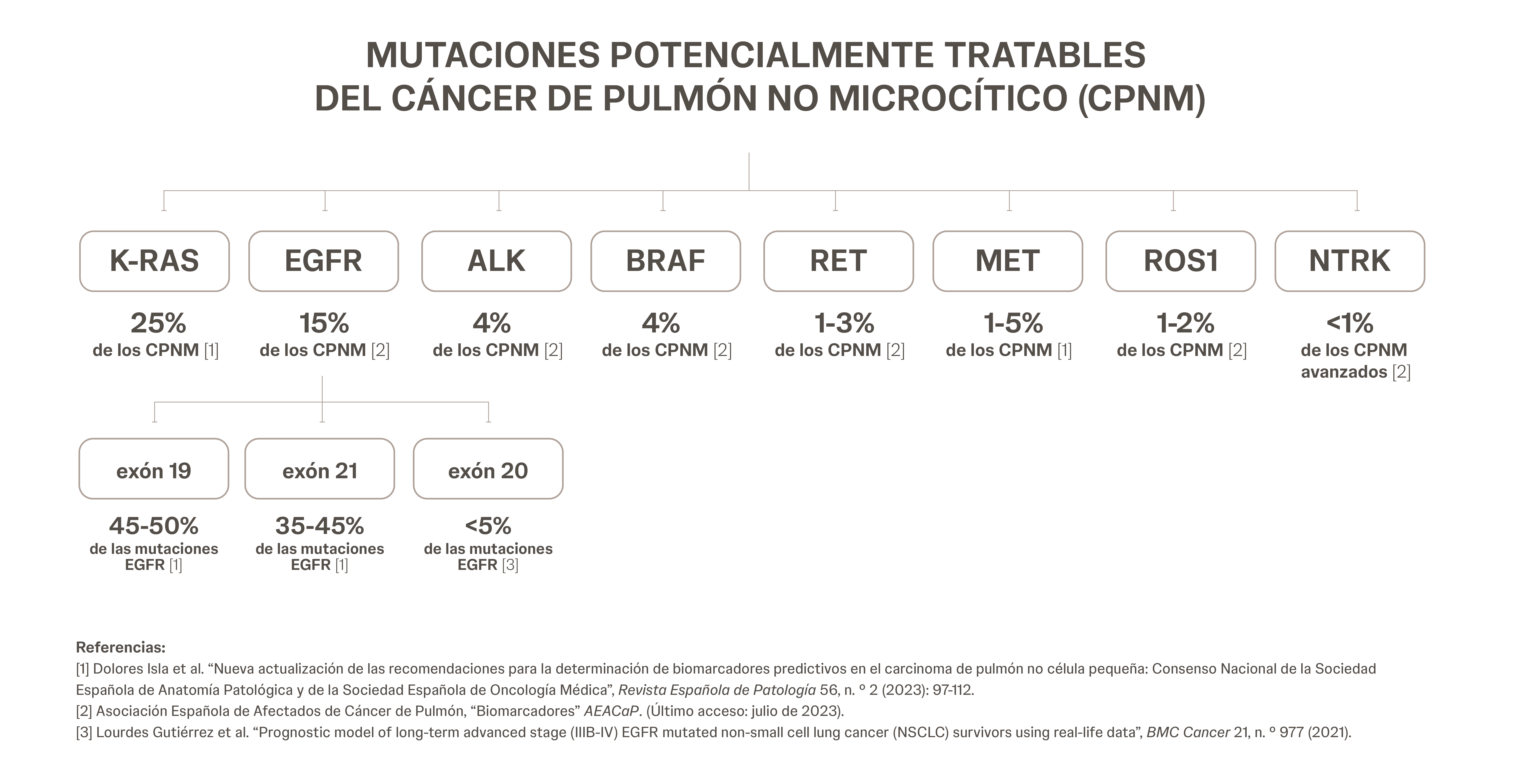 Diagrama de las mutaciones potencialmente tratables del cáncer de pulmón no microcítico (CPNM)