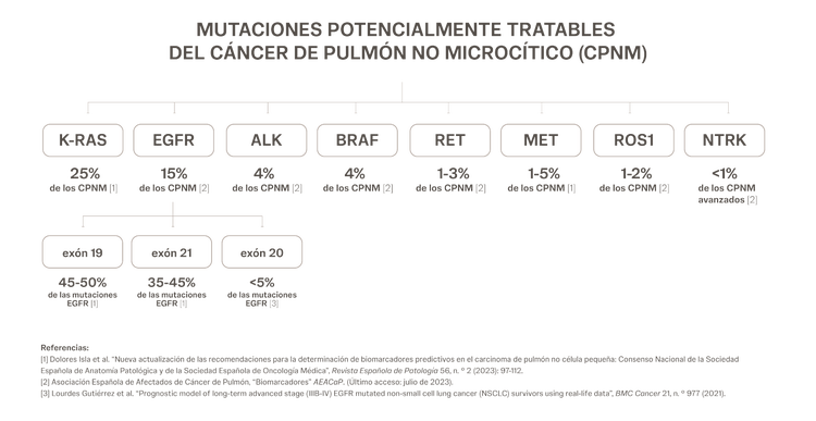 Mutaciones potencialmente tratables del cáncer de pulmón no microcítico (CPNM) Diagrama de las mutaciones potencialmente tratables del cáncer de pulmón no microcítico (CPNM)