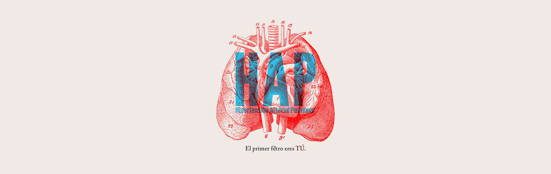 Cabecera HAP Hipertensión arterial pulmonar