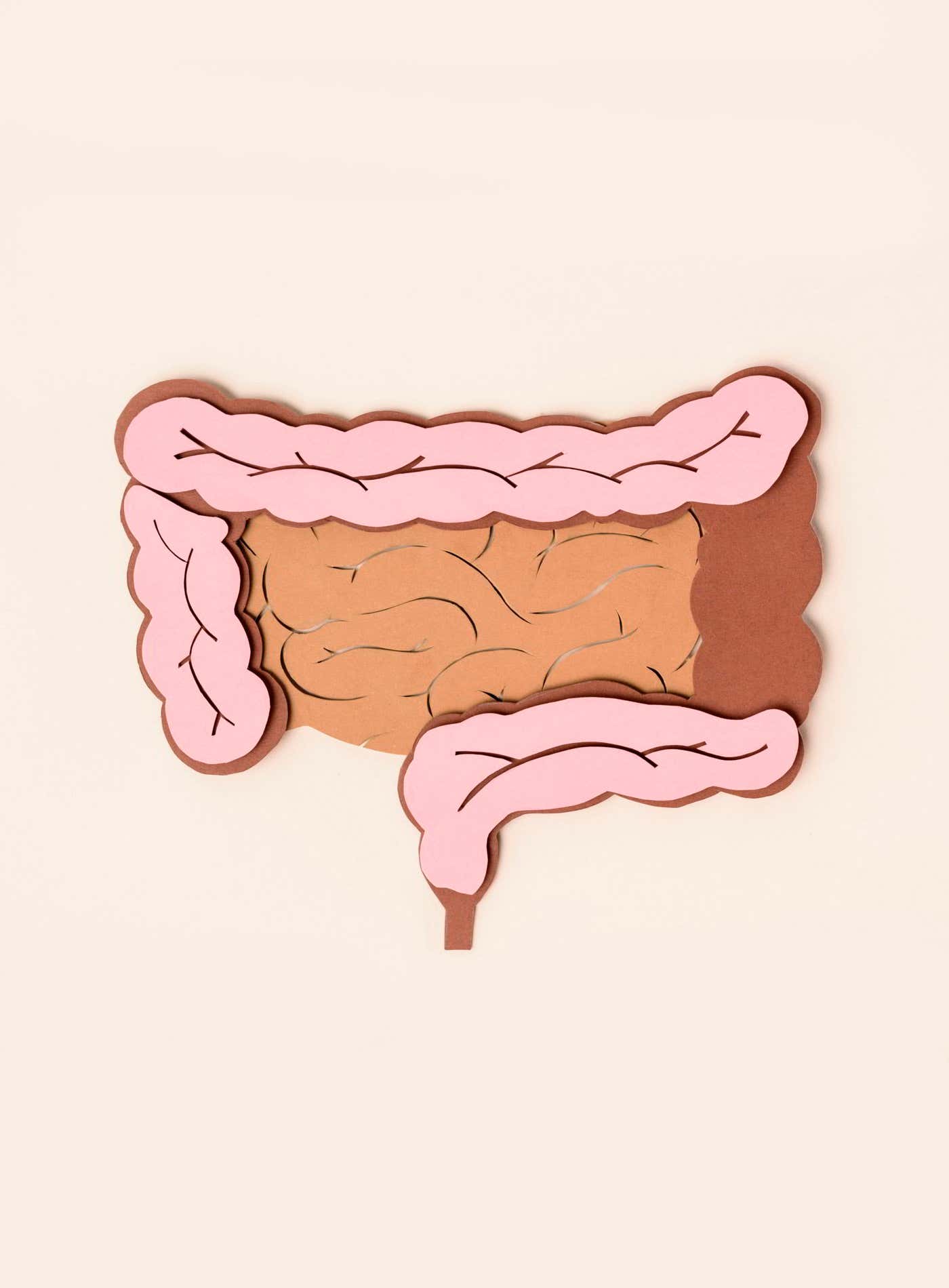 Las alteraciones del sistema inmune pueden favorecer la aparición de la enfermedad de Crohn