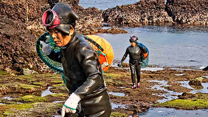 Una historia de solidaridad y sororidad.