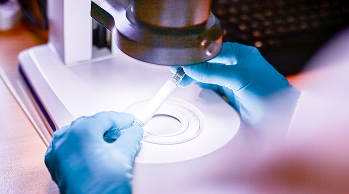 Revisión de una muestra en un laboratorio 