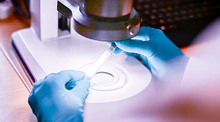 Revisión de una muestra en un laboratorio