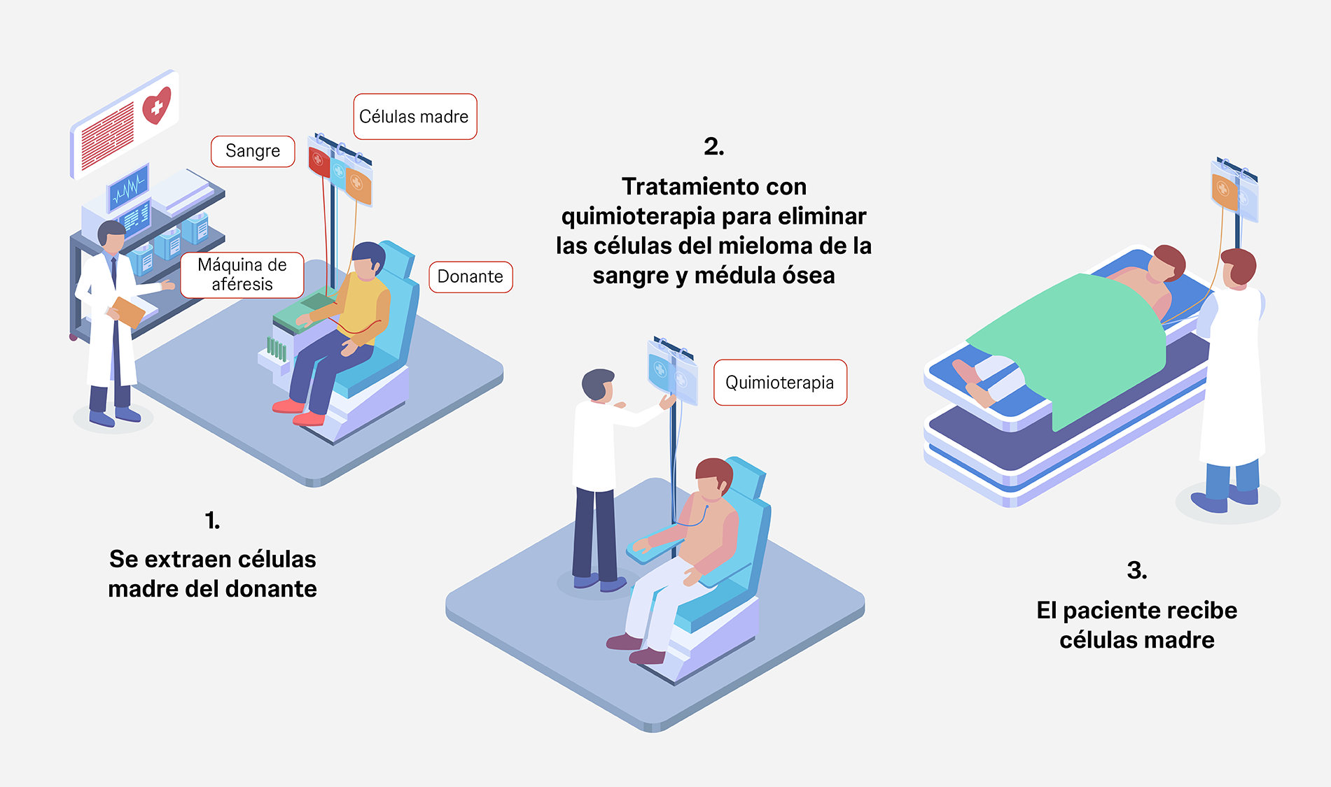 Trasplante de células madre