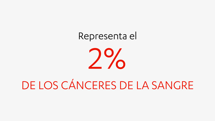 representa el 2% de los cánceres de la sangre representa el 2% de los cánceres de la sangre