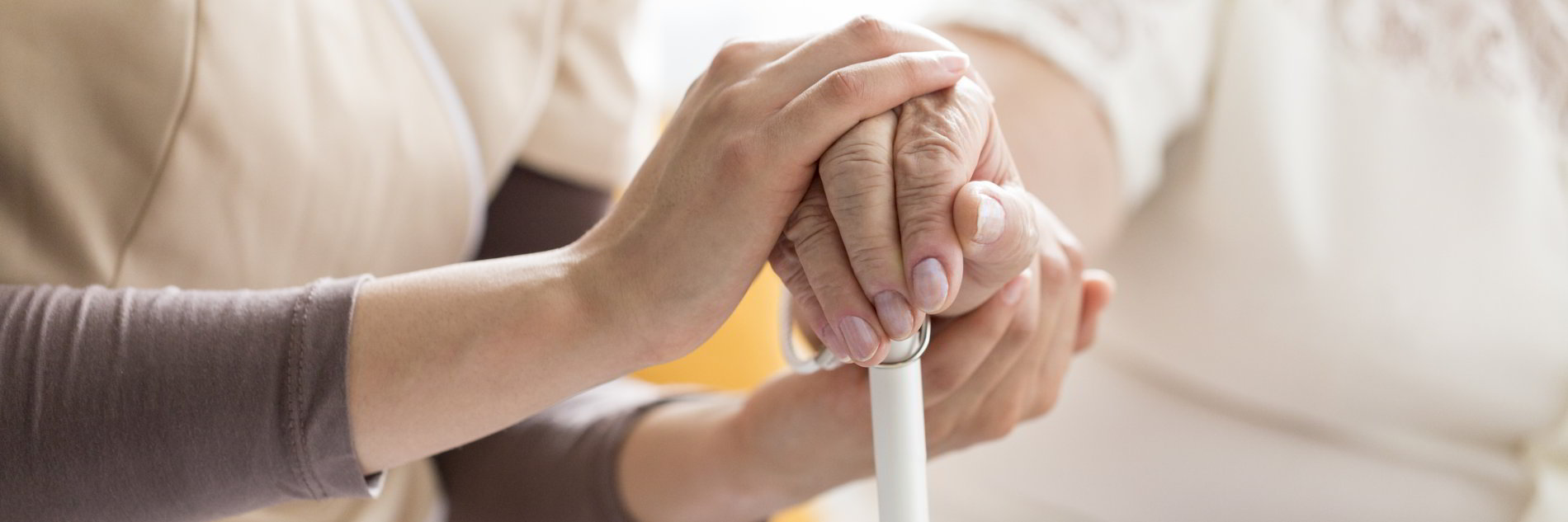 Información básica sobre la leucemia linfocítica crónica