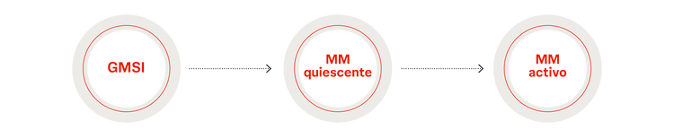 Tipo de mieloma múltiple y como distinguirlos Tipo de mieloma múltiple y como distinguirlos