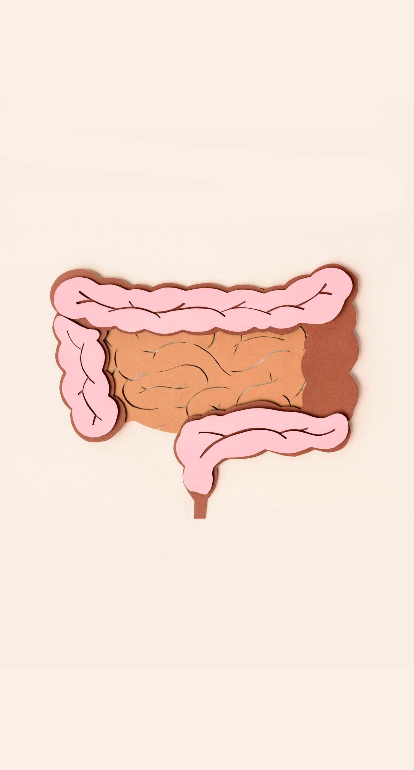 Las alteraciones del sistema inmune pueden favorecer la aparición de la enfermedad de Crohn