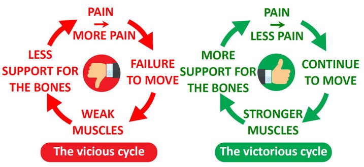 Cycle..jpg Cycle..jpg