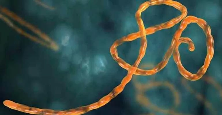 virus string image virus string image