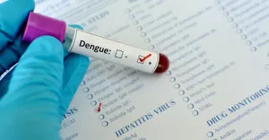 dengue dengue