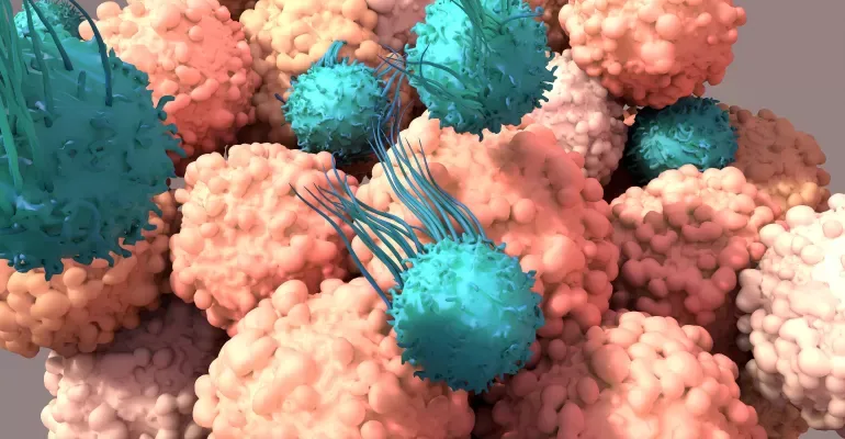 Cells.png Cells.png