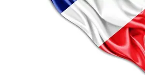 flag of France flag of France
