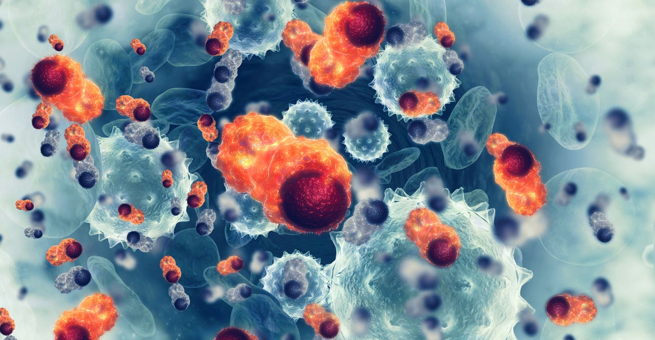 Cancer cells.png Cancer cells.png