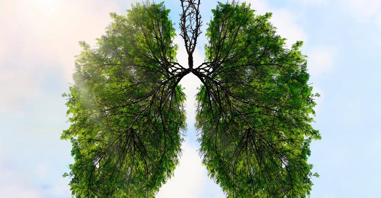 Sustainable healthcare Sustainable healthcare