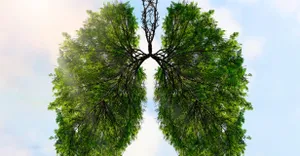 Sustainable healthcare Sustainable healthcare