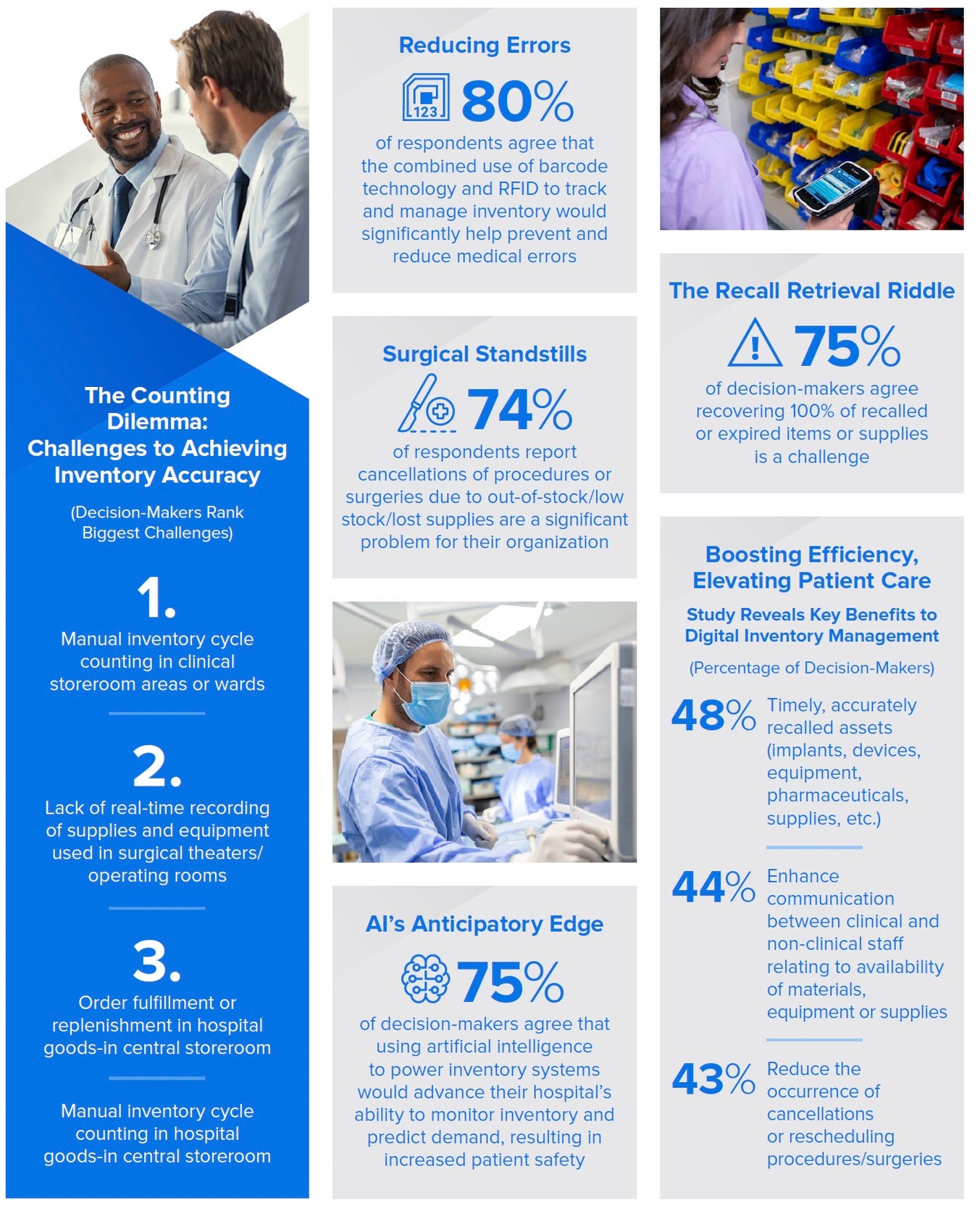 Zebra_study.jpg Zebra_study.jpg