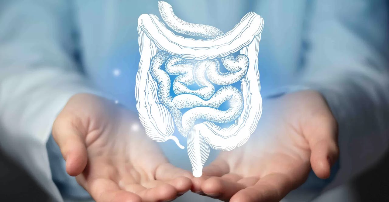 AI assisted endoscsopy AI assisted endoscsopy